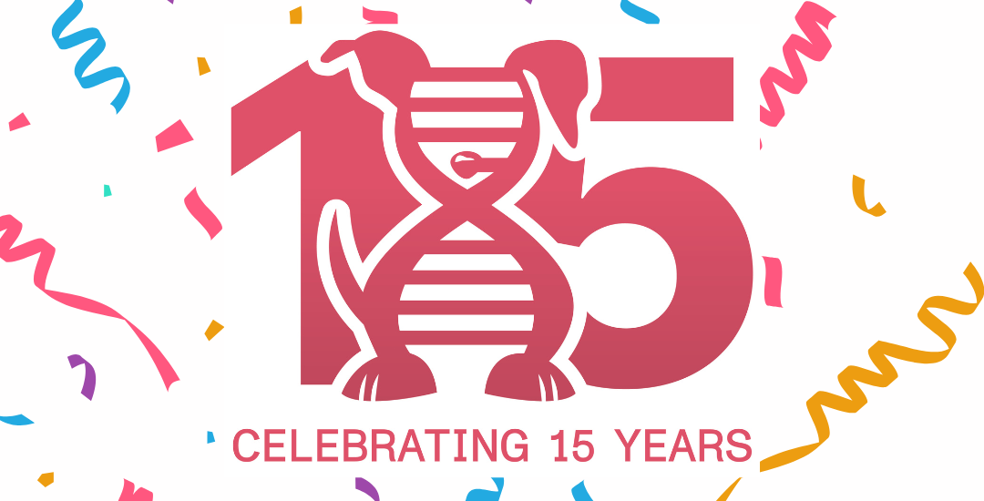 Fifteen Years of Working on the Moments That Matter, and the In-Between